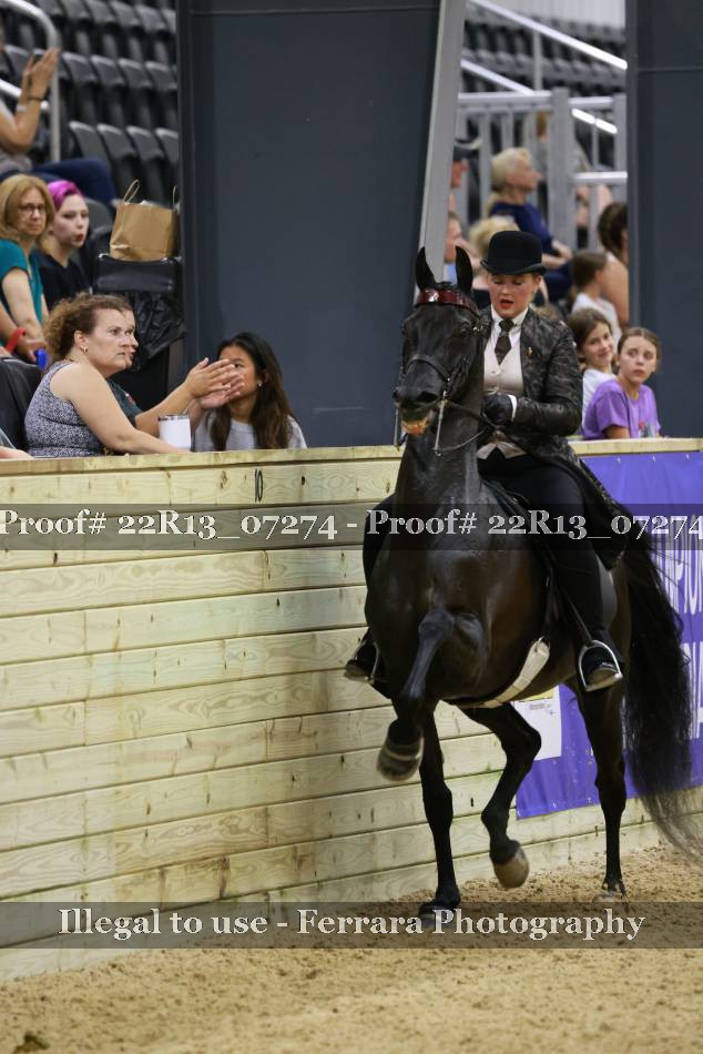 Proof 22R13_07274