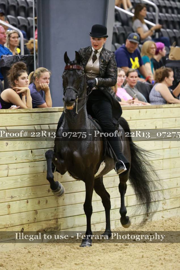 Proof 22R13_07275