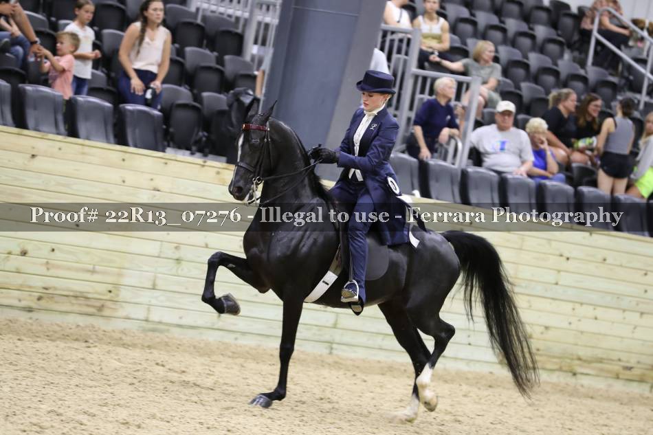 Proof 22R13_07276