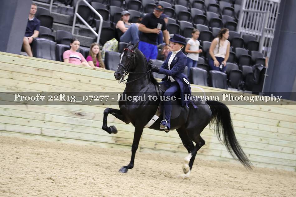 Proof 22R13_07277