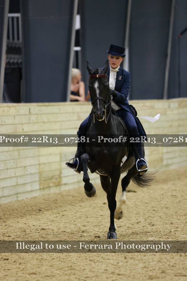 Proof 22R13_07281