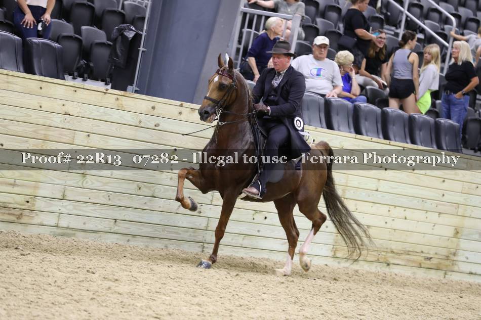 Proof 22R13_07282