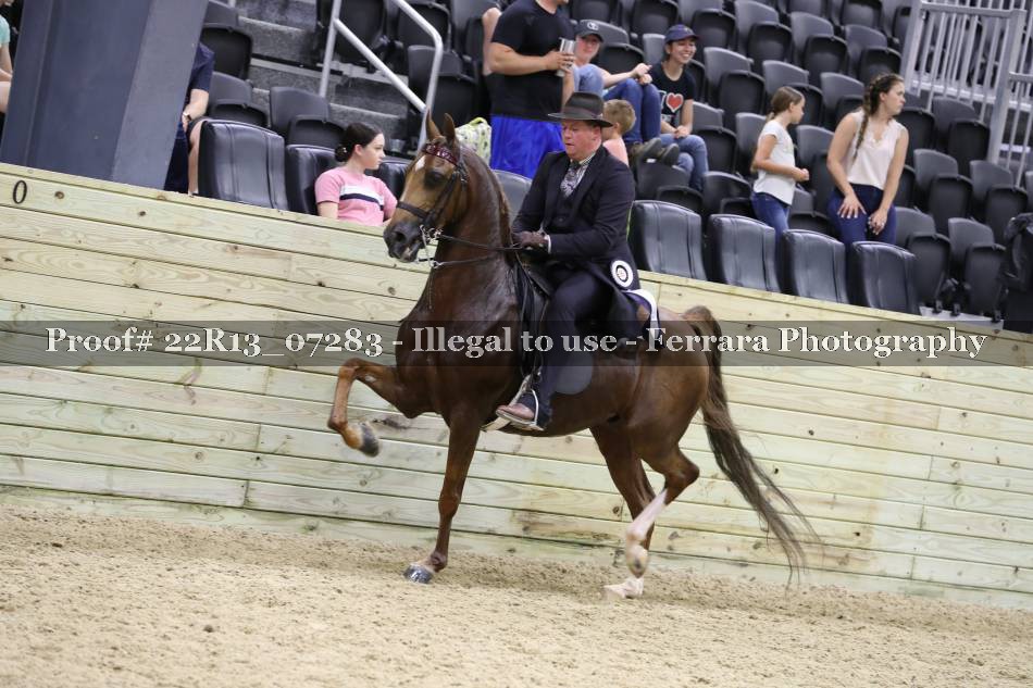 Proof 22R13_07283