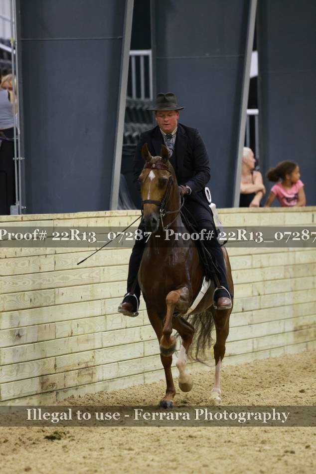 Proof 22R13_07287