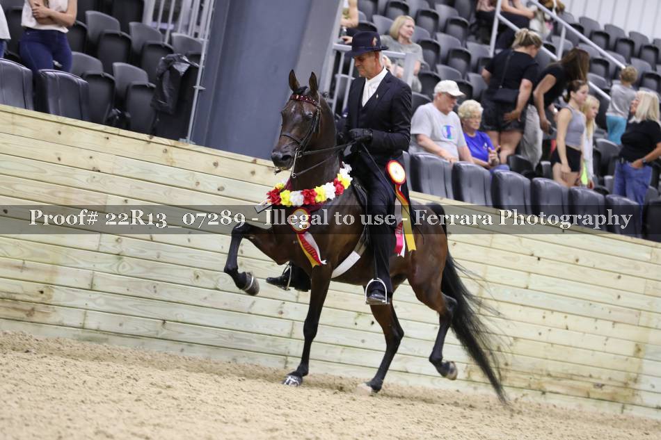 Proof 22R13_07289