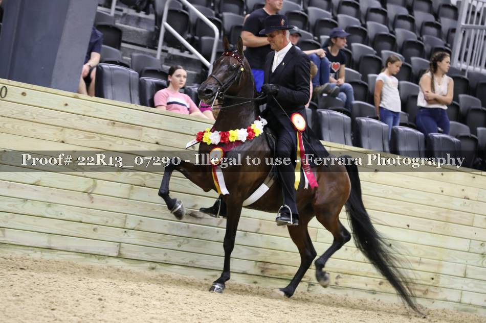 Proof 22R13_07290