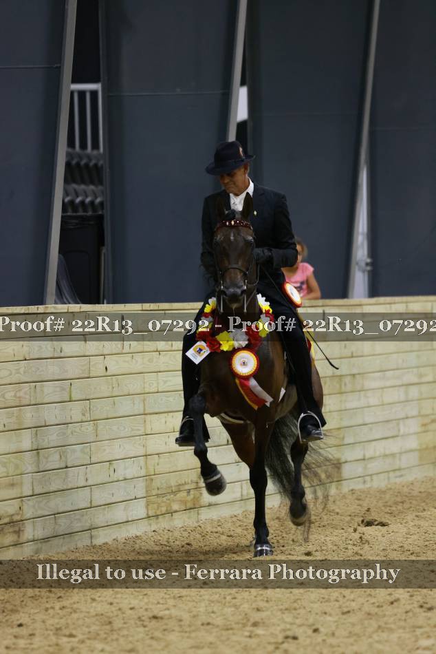Proof 22R13_07292