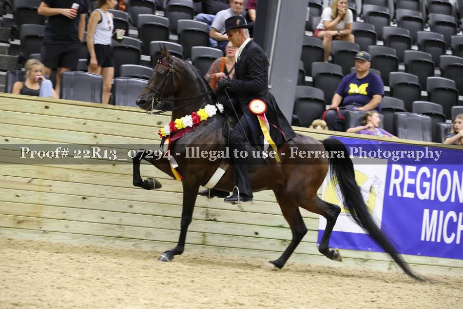 Proof 22R13_07294