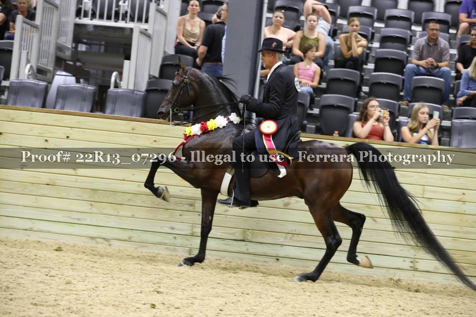 Proof 22R13_07296