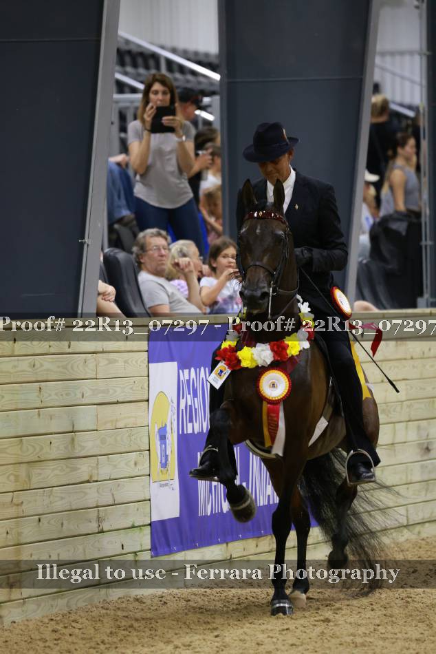 Proof 22R13_07297