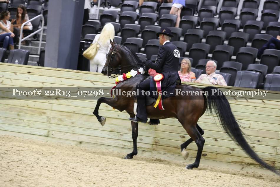 Proof 22R13_07298