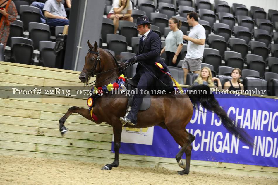 Proof 22R13_07303