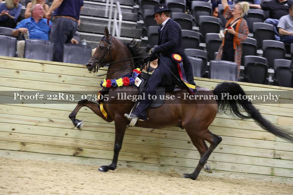 Proof 22R13_07305