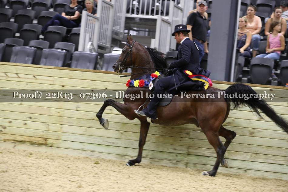 Proof 22R13_07306