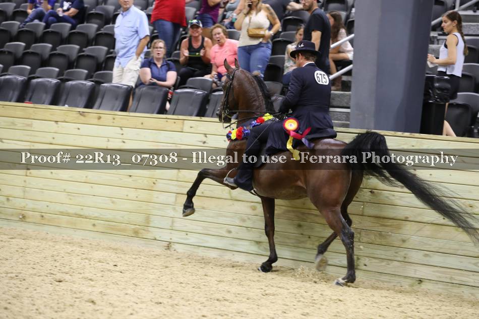 Proof 22R13_07308