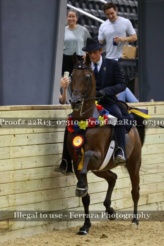 Proof 22R13_07310