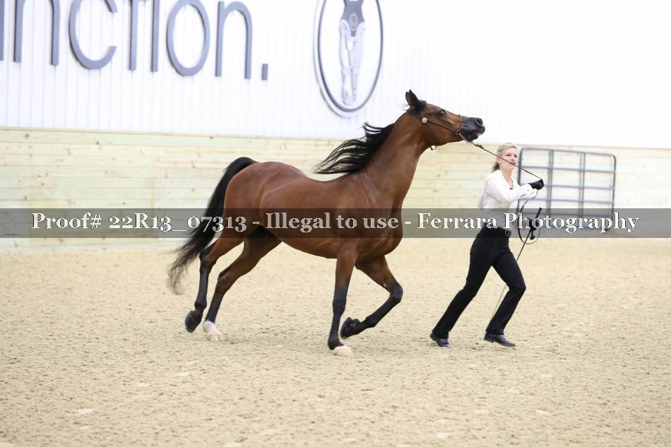 Proof 22R13_07313