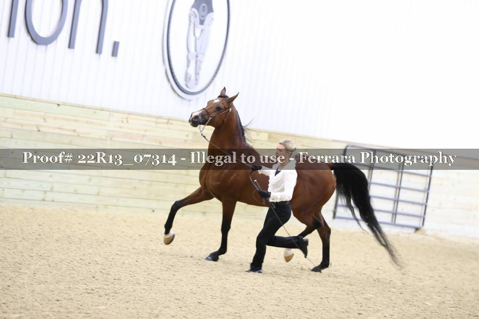Proof 22R13_07314