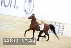 22R13_07314 proof