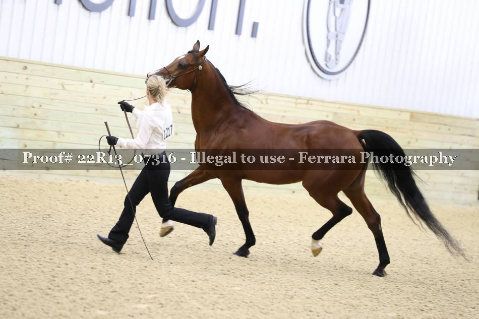 Proof 22R13_07316
