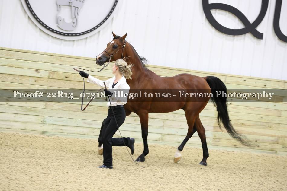 Proof 22R13_07318