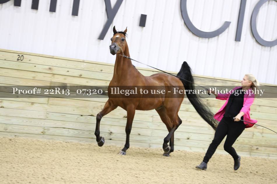 Proof 22R13_07320