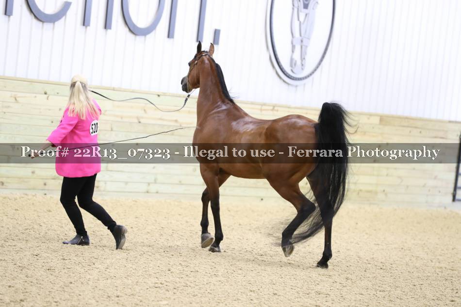 Proof 22R13_07323