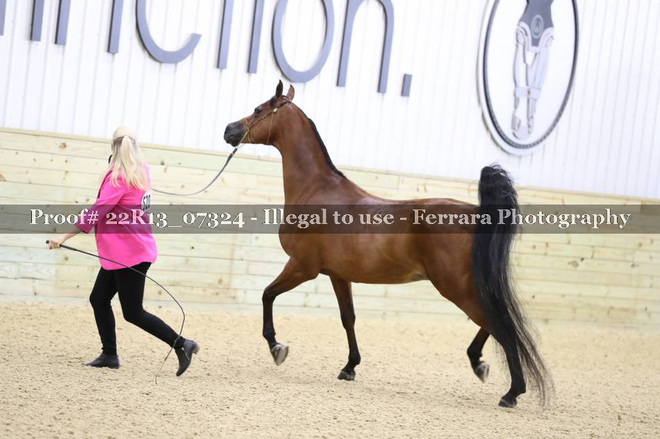 Proof 22R13_07324