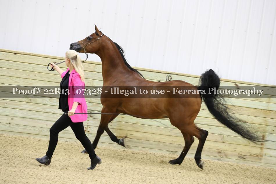 Proof 22R13_07328