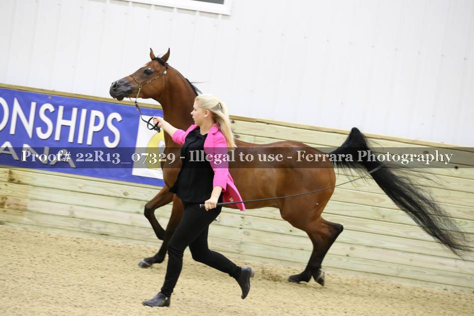 Proof 22R13_07329
