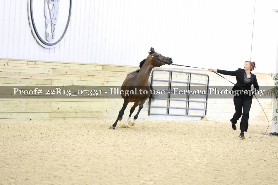 Proof 22R13_07331