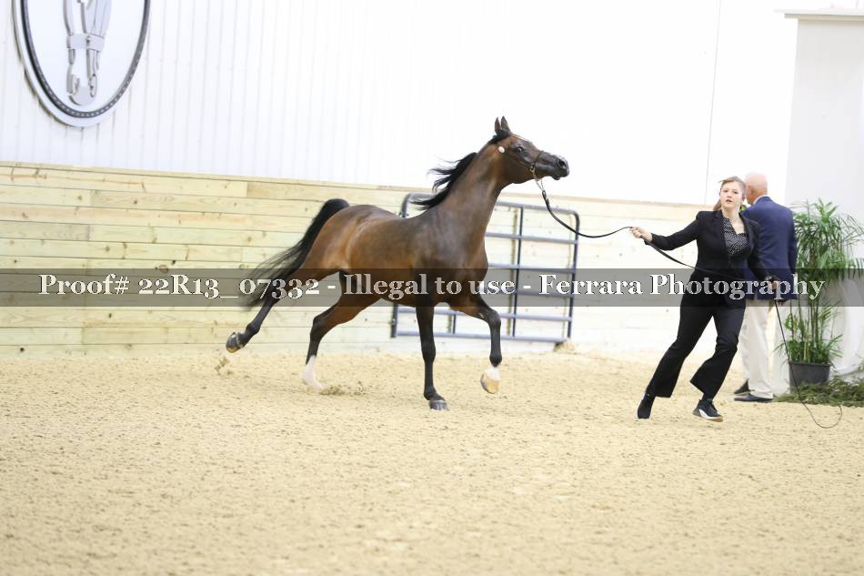 Proof 22R13_07332