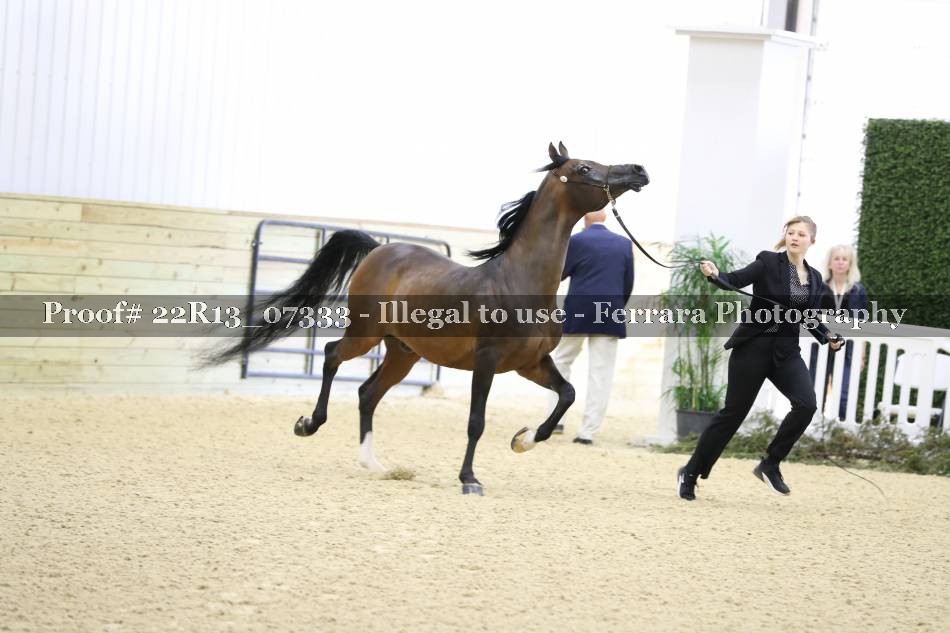 Proof 22R13_07333