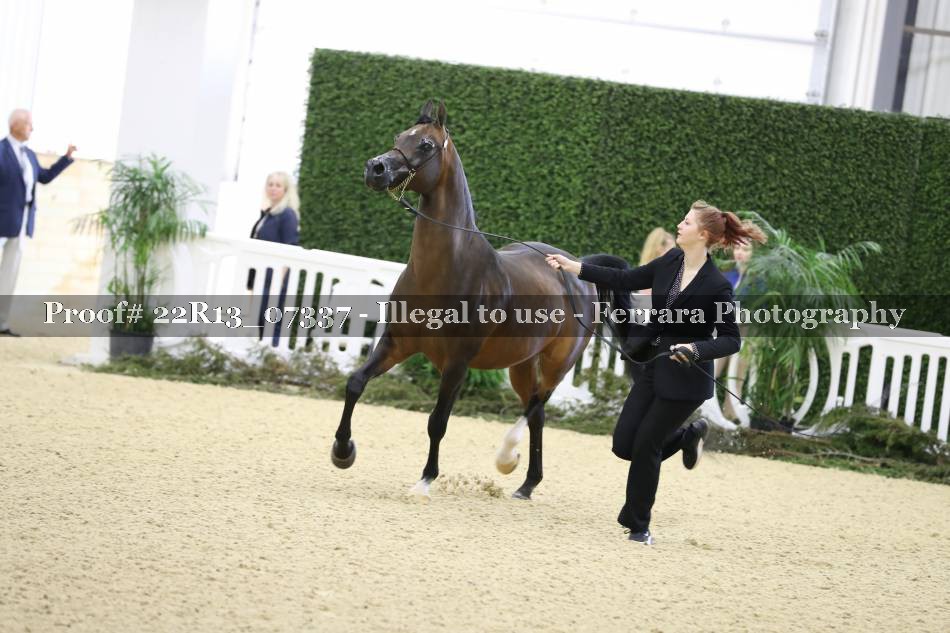 Proof 22R13_07337