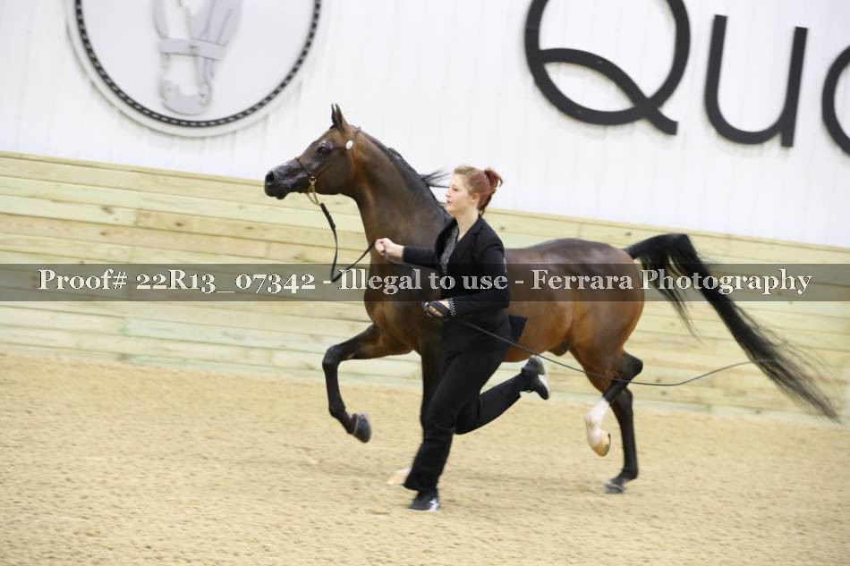 Proof 22R13_07342