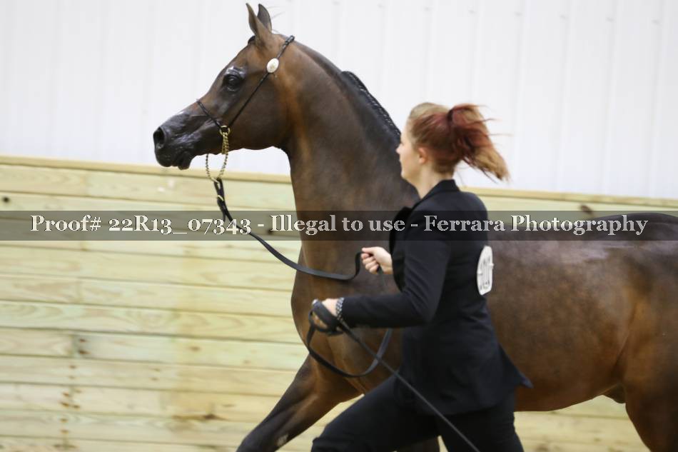 Proof 22R13_07343