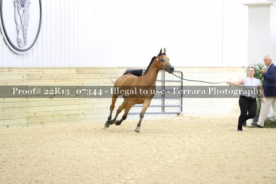Proof 22R13_07344
