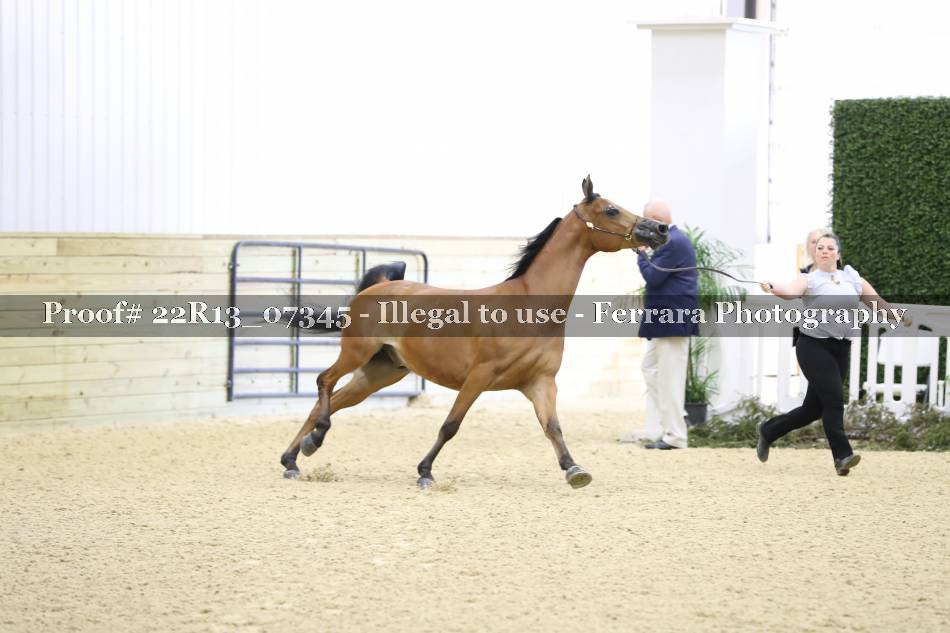 Proof 22R13_07345