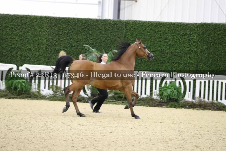 Proof 22R13_07346