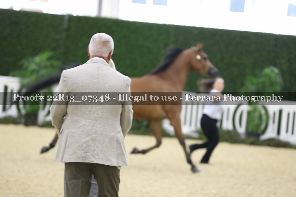 Proof 22R13_07348