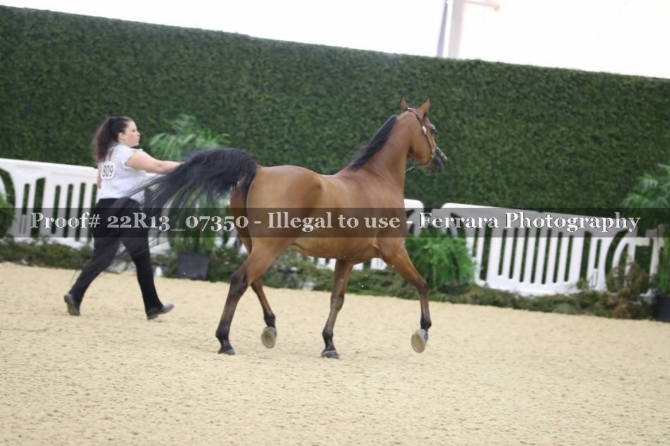 Proof 22R13_07350
