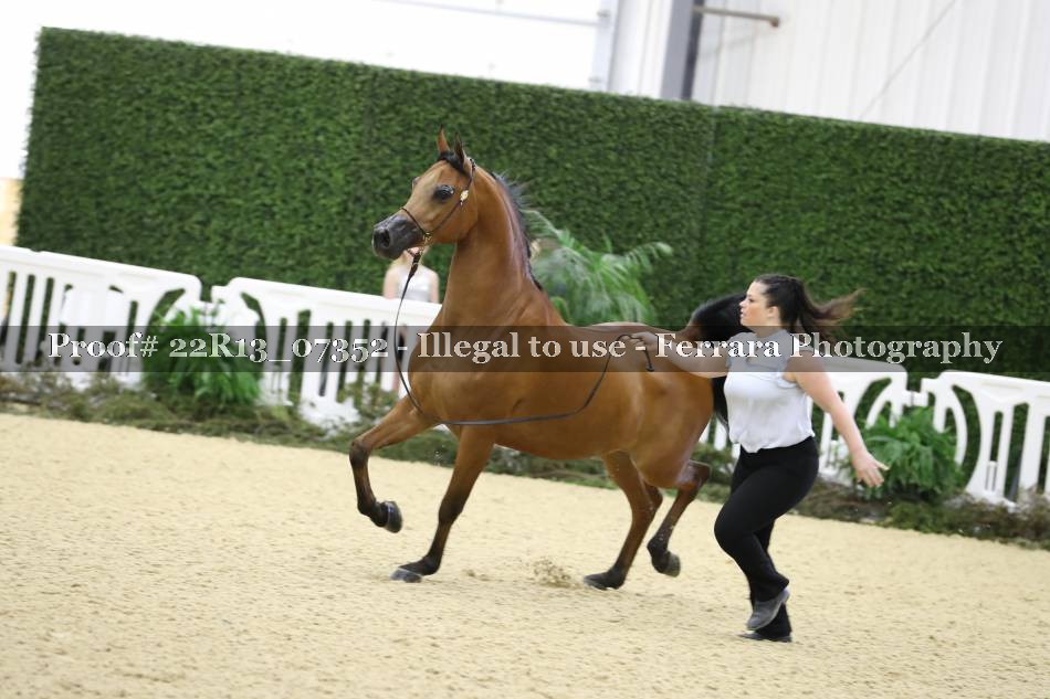 Proof 22R13_07352