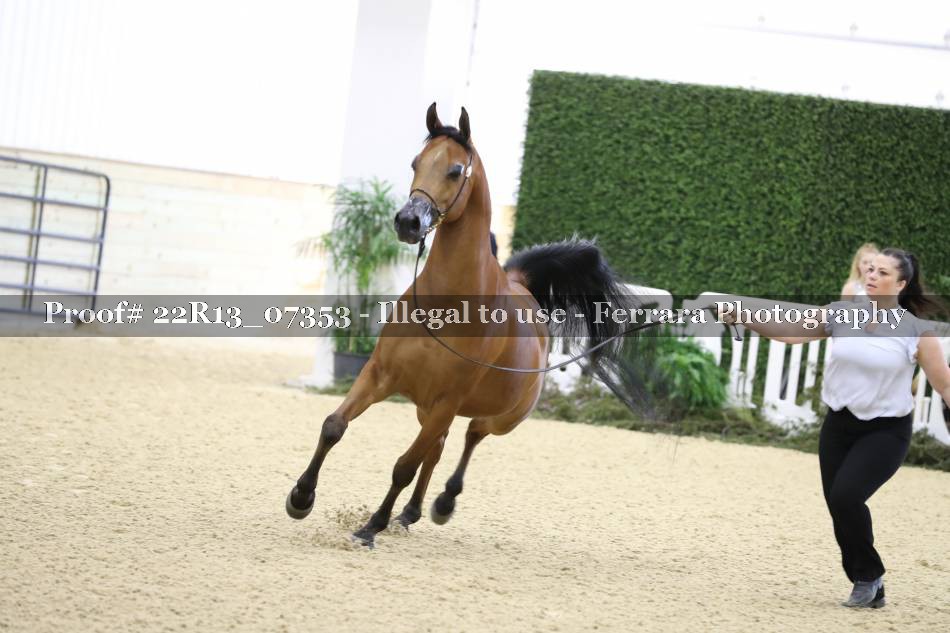 Proof 22R13_07353