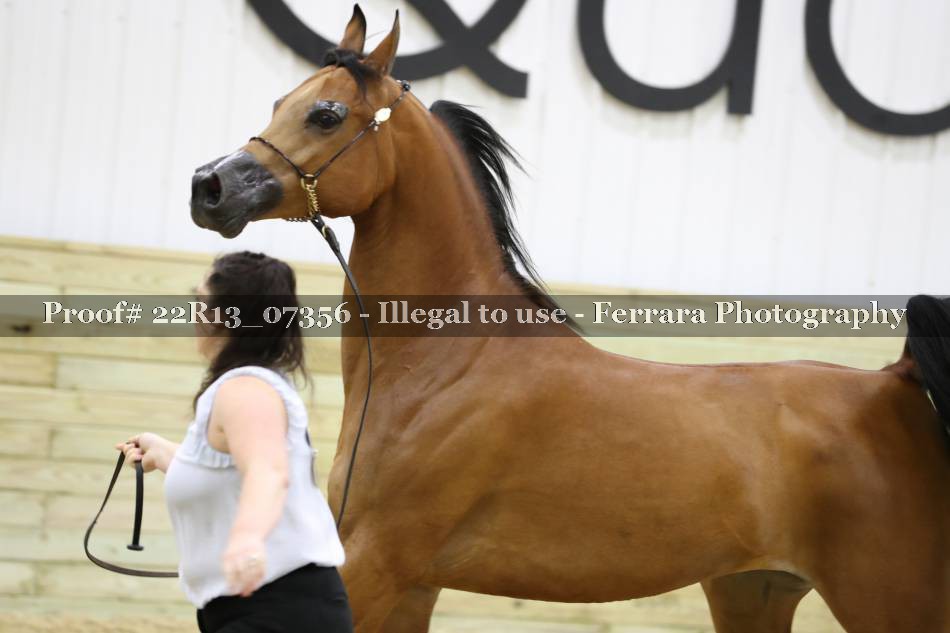 Proof 22R13_07356