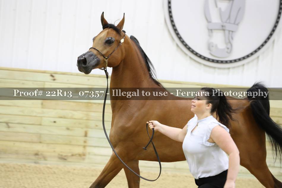 Proof 22R13_07357