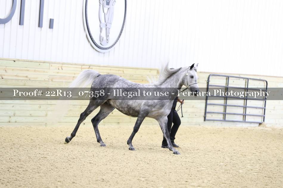 Proof 22R13_07358