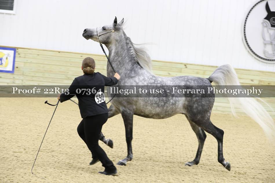 Proof 22R13_07364