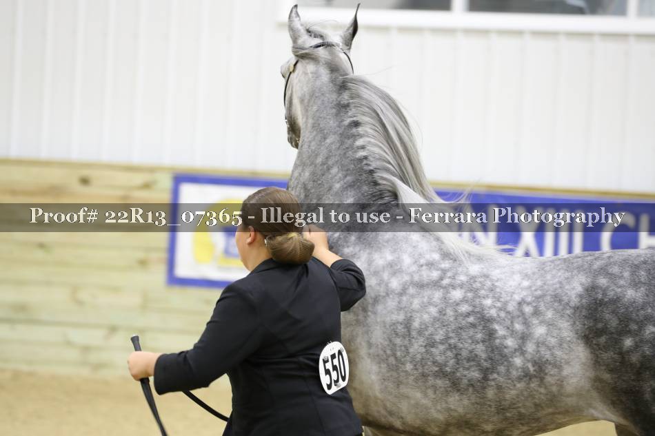 Proof 22R13_07365