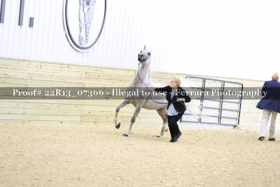 Proof 22R13_07366