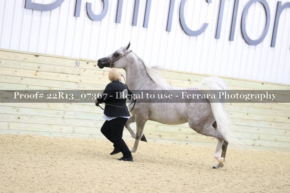 Proof 22R13_07367